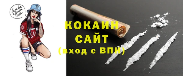 спиды Каменногорск