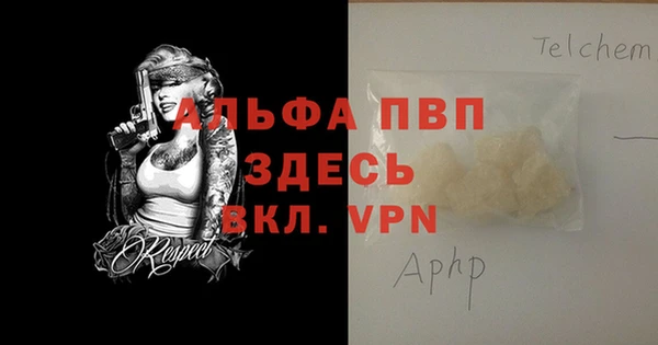 шишки Нестеровская