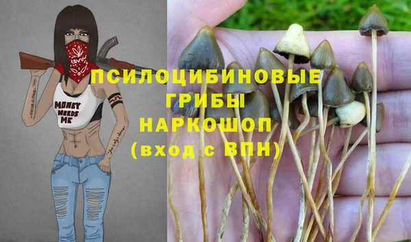 метамфетамин Каменка