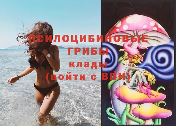 альфа пвп Фёдоровский