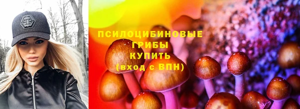 мет Каменск-Шахтинский