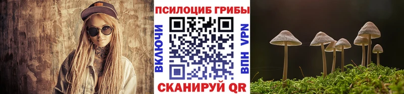 Псилоцибиновые грибы мухоморы  Купить где  Курлово 